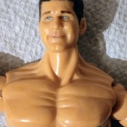 2003 WWE JAKKS PACIFIC Randy Orton Wrestling Action Figure Wrestler Collectible Vintage Sports Pro Professional