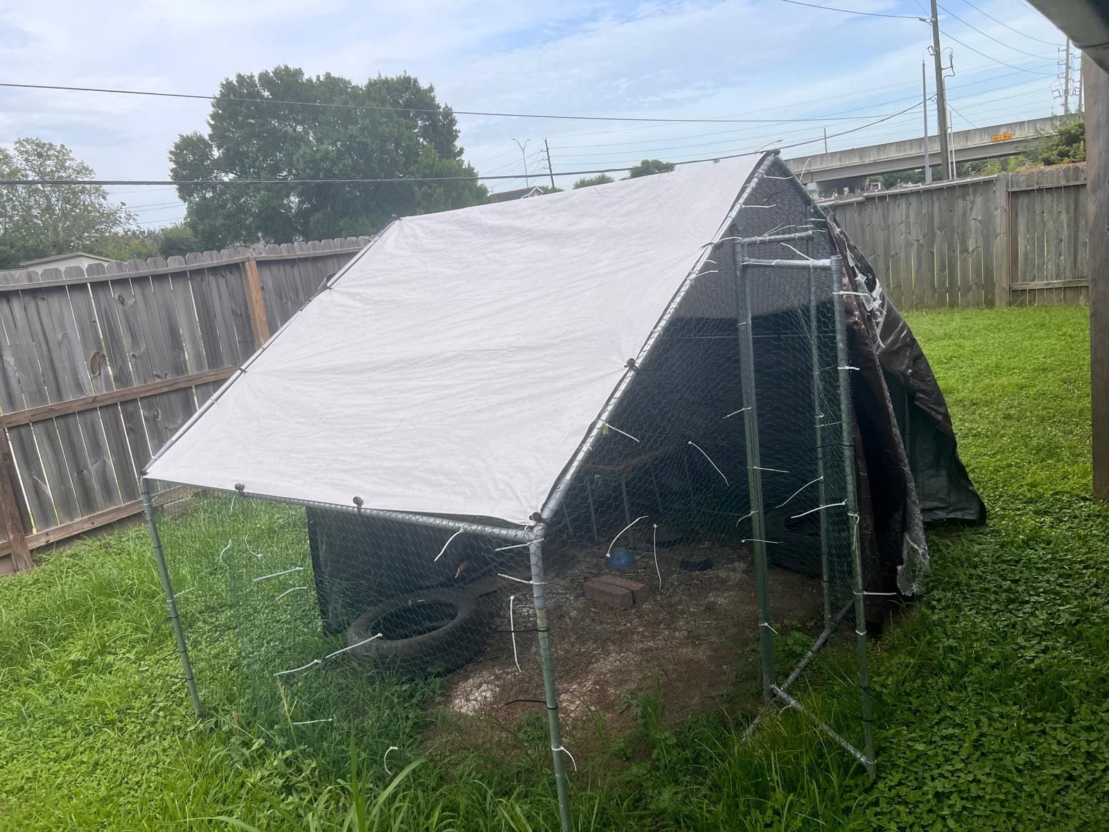 Big cage for Dog Or More