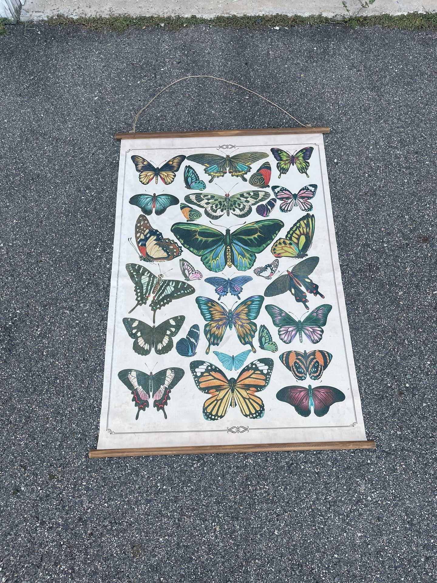 Butterflies & Burlap Wood Scroll Wall Decor