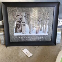 Wolf Picture In Frame