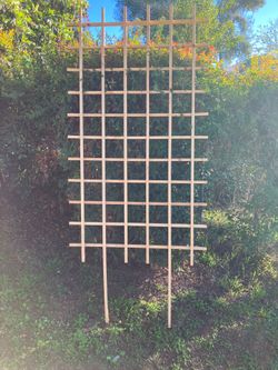 Trellis 38”x68” new