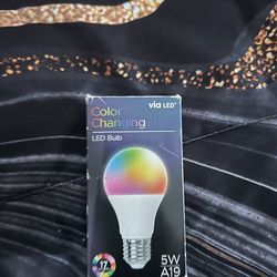 Via LED color changing bulb