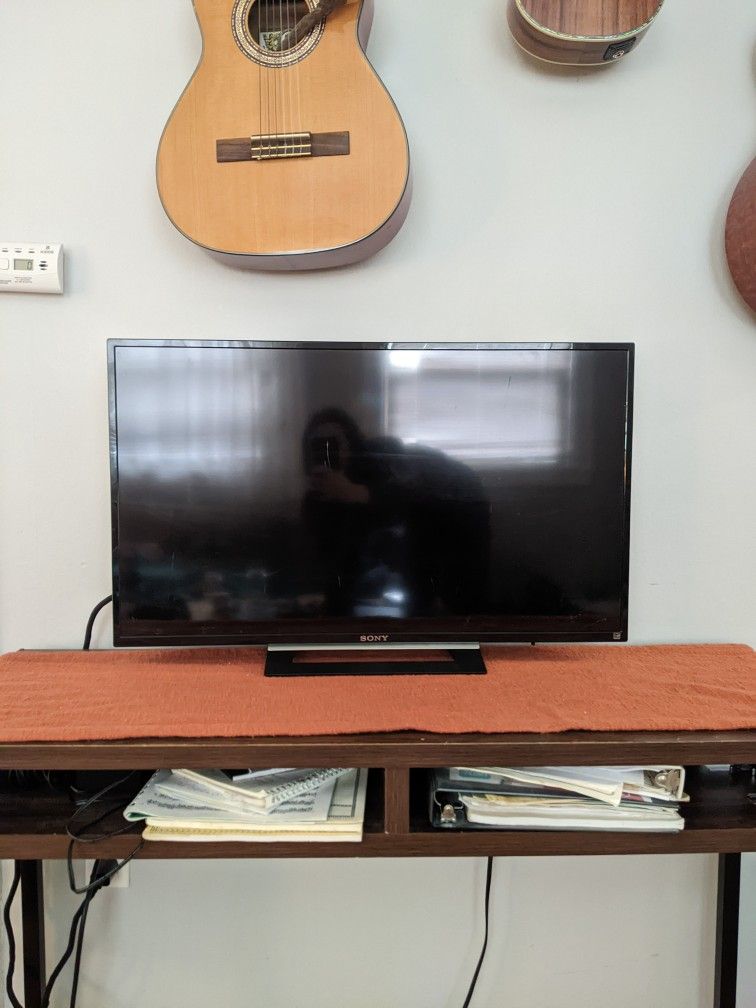 Sony Flat Screen TV