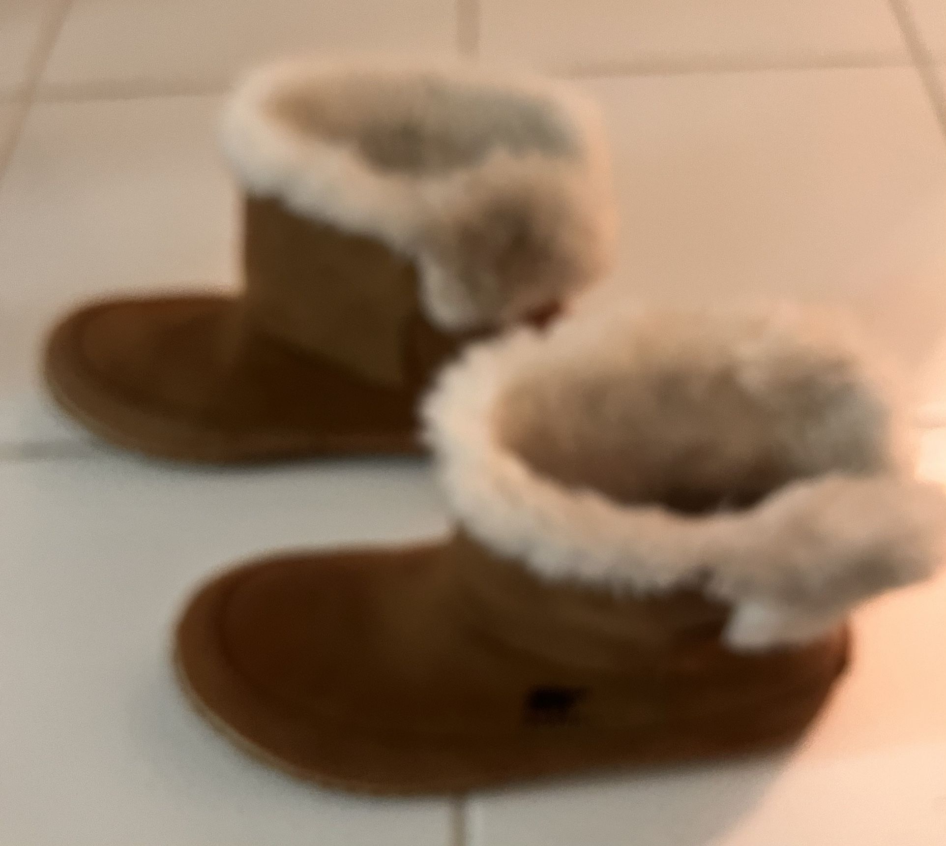 Sorel Winter / Sleeper / Out N About Boots