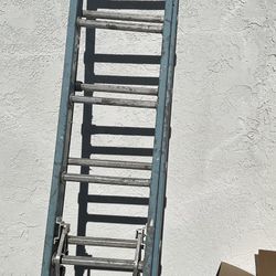 Free Ladder Gratis 