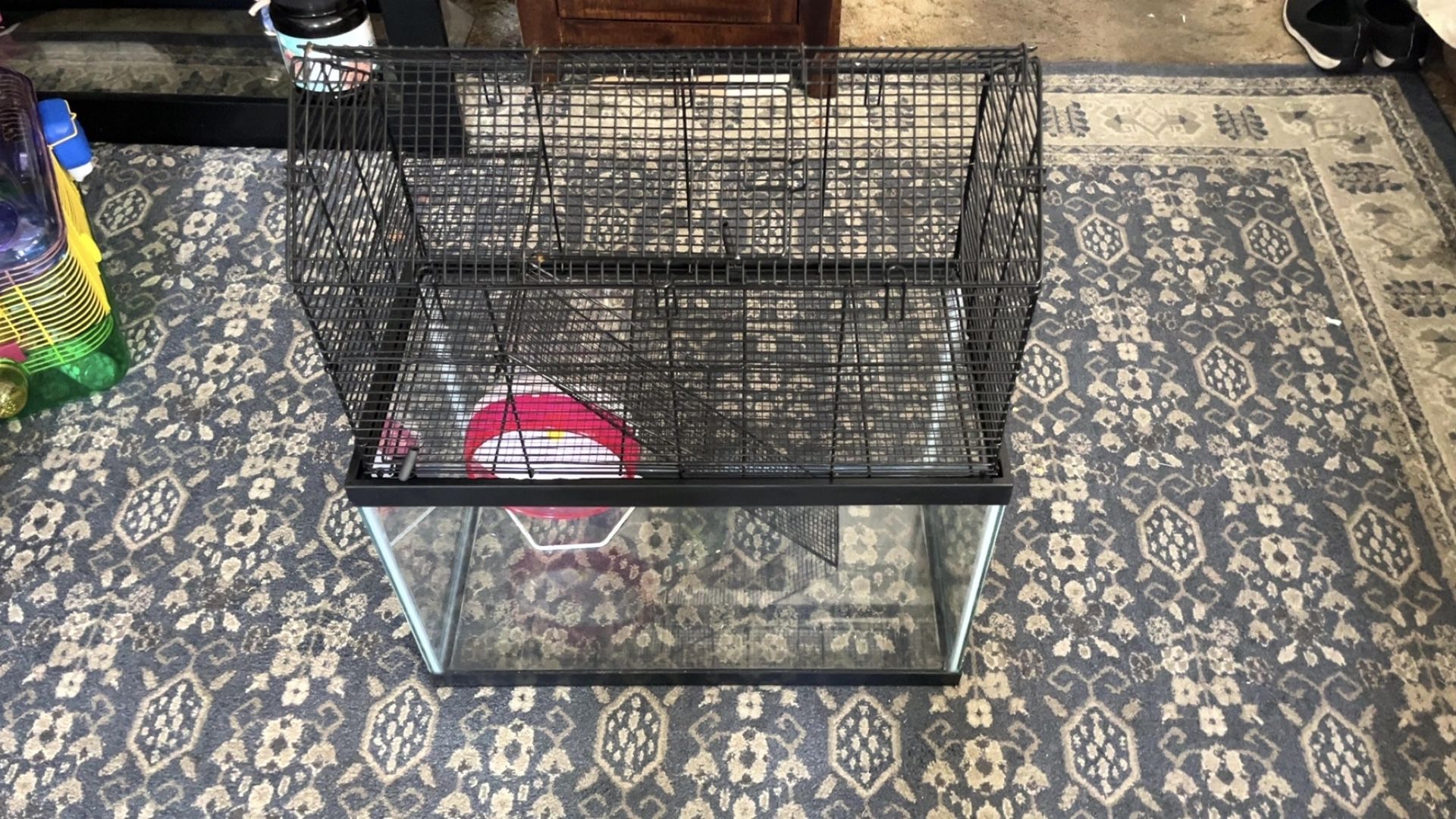 Hamster Cage 