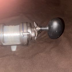 saltiga 40ha clean