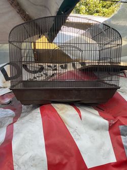 Bird Cage