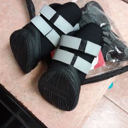 Doggie Boots