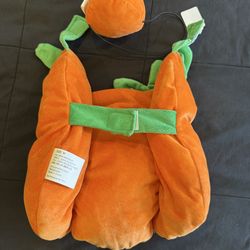 Pet custom