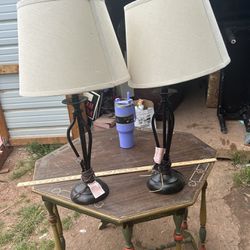 A Pair Of Lamps 