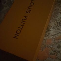 Loui Vuitton Purse 