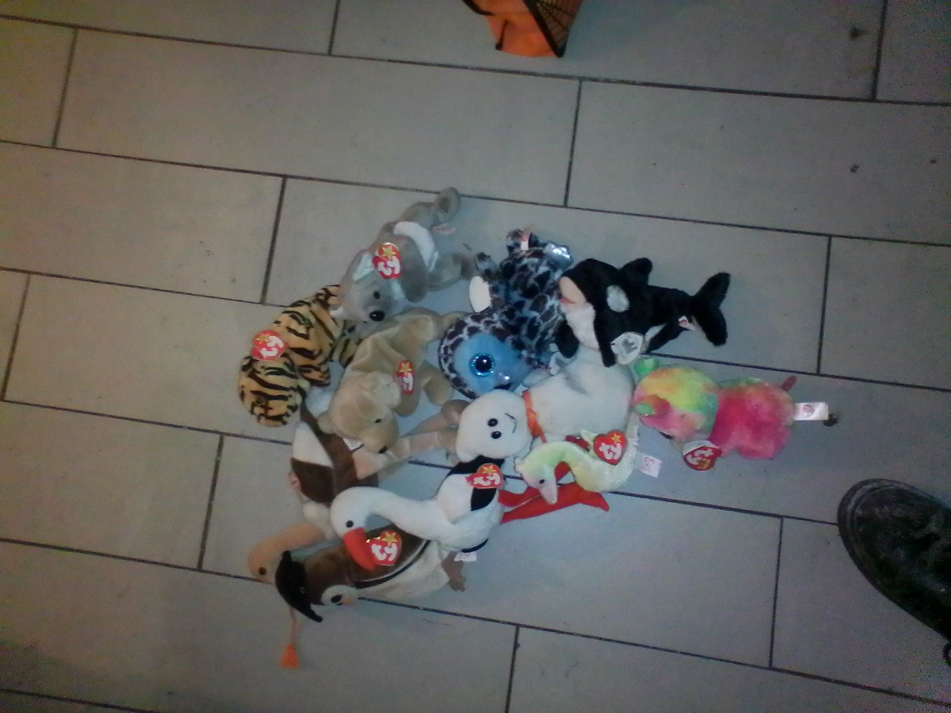 11 beanie babies all with tags