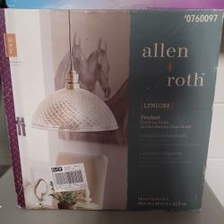 Pendant Light Fixture 