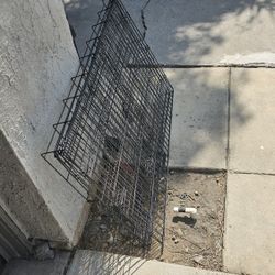 Dog Crate 