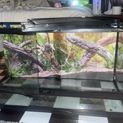 50 Gallon Tank