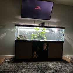 125gallon Fish Tank