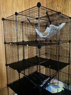 Catio or cat  cage
