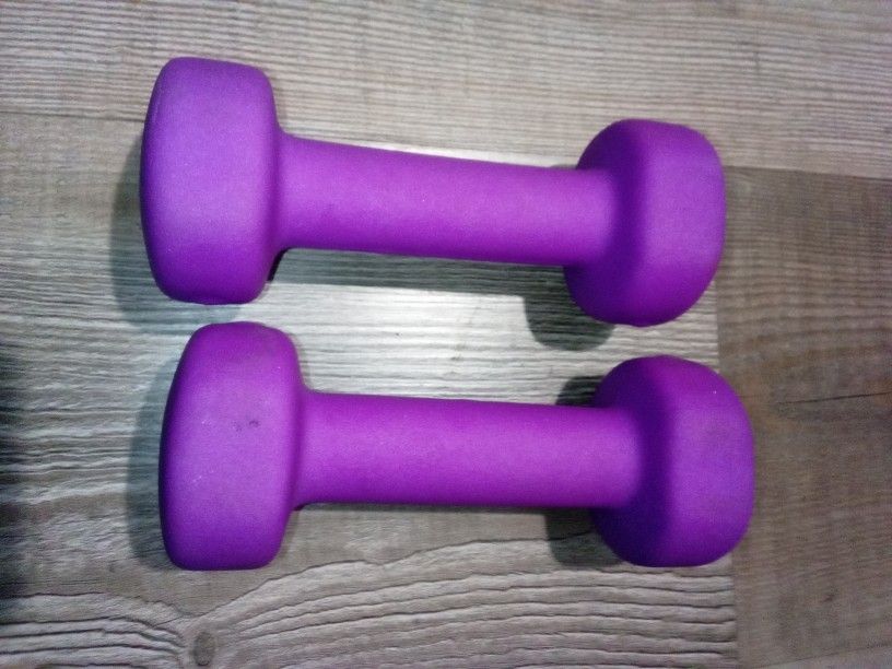 (2) Nan809 3 Pound Purple Dumbells