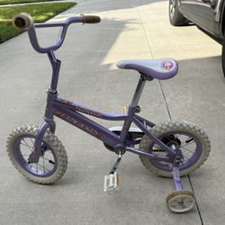 Toddler Bike