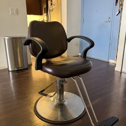 Salon/ Barber Chair 