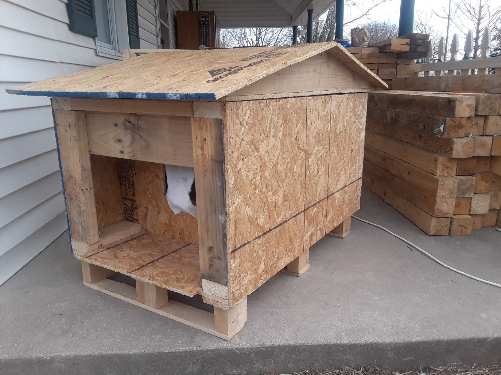 Dog house, cat house