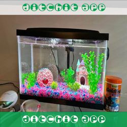 I race Complete Aquarium System - Jump into Water World Beauty