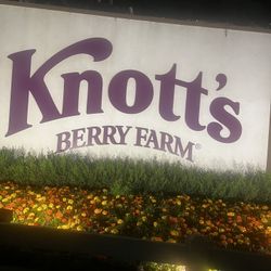 Knotts Cat Mascot Free