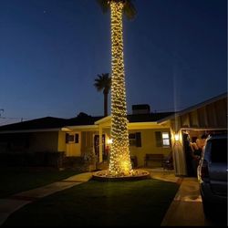 Handing Lights At Palms 