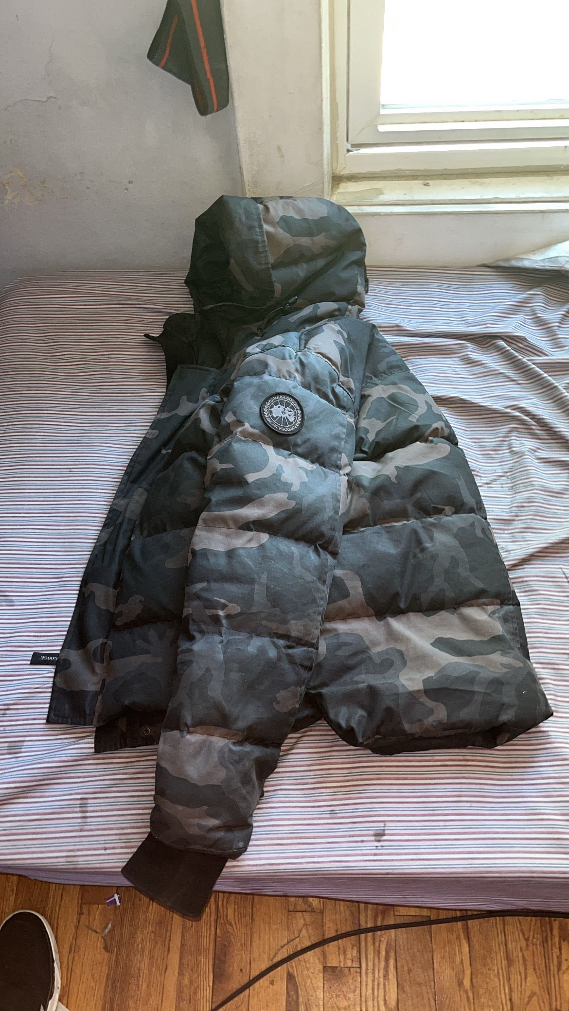 Canada Goose