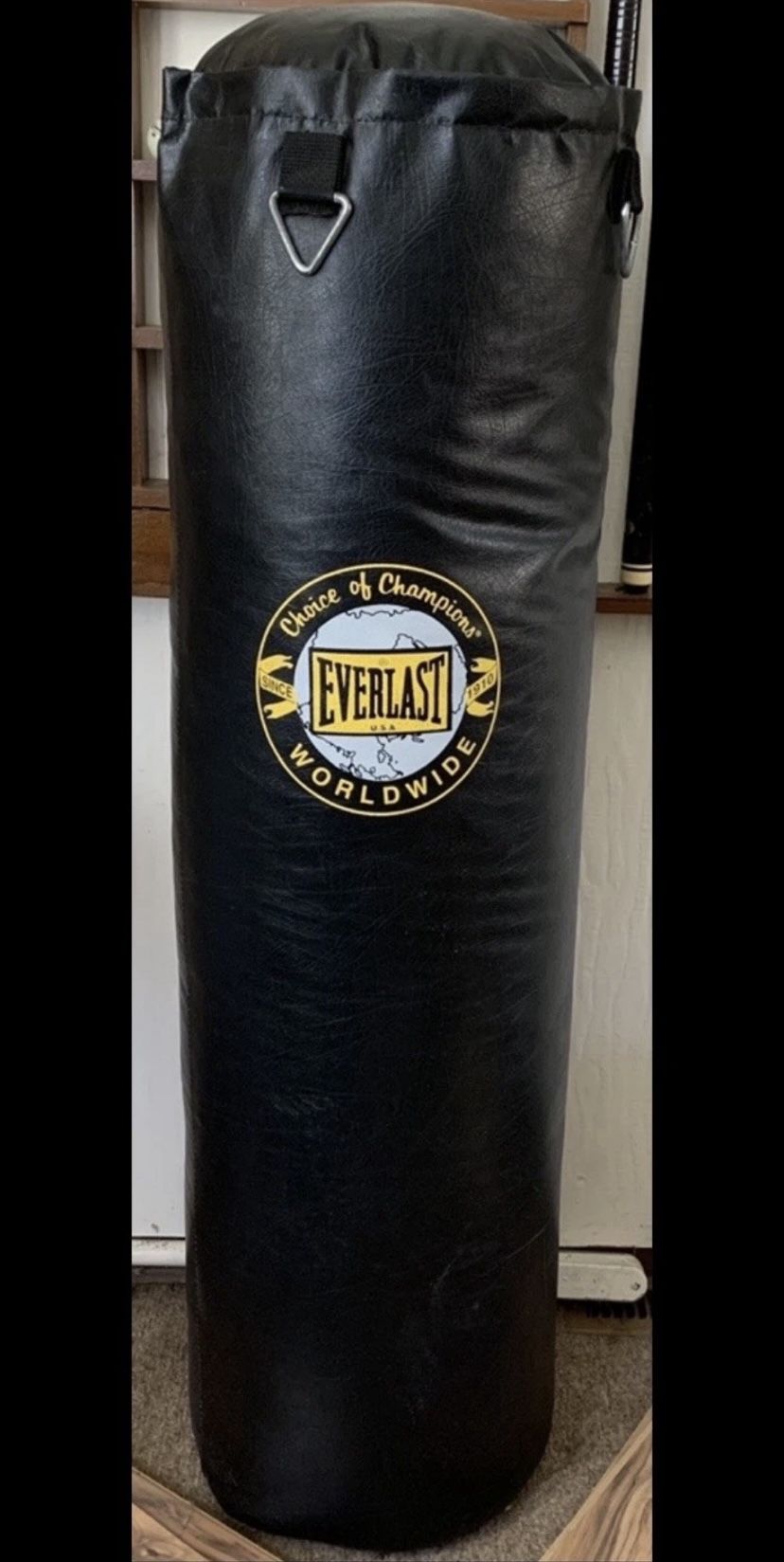 100 lb Punching Bag with Gloves