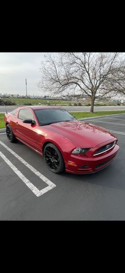 2013 Ford Mustang