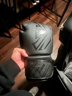 12oz boxing/kickboxing gloves