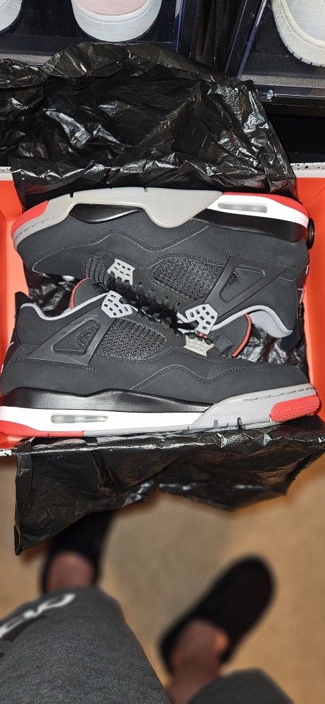 Jordan 4 Bred (2019)