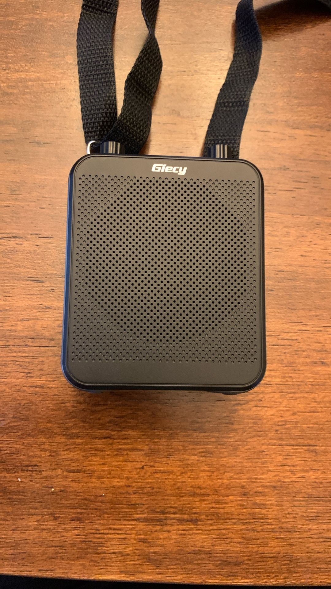 Giecy G300 Portable Amplifier/Speaker