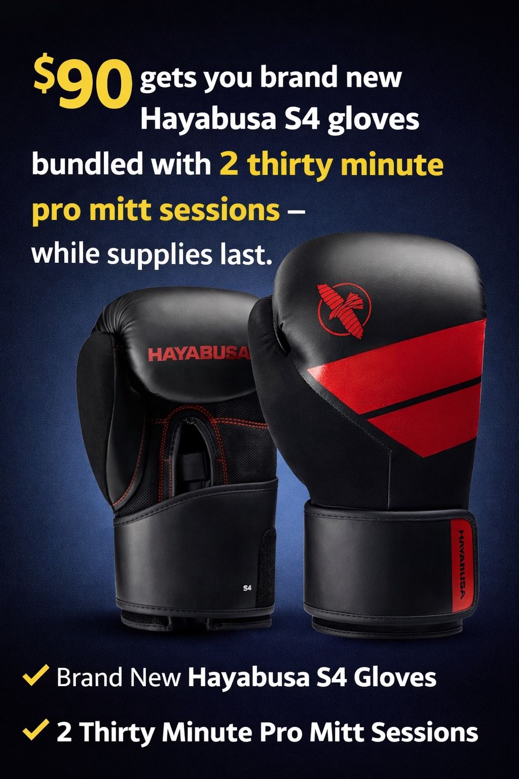 Hayabusa Boxing Gloves + Training Bundle