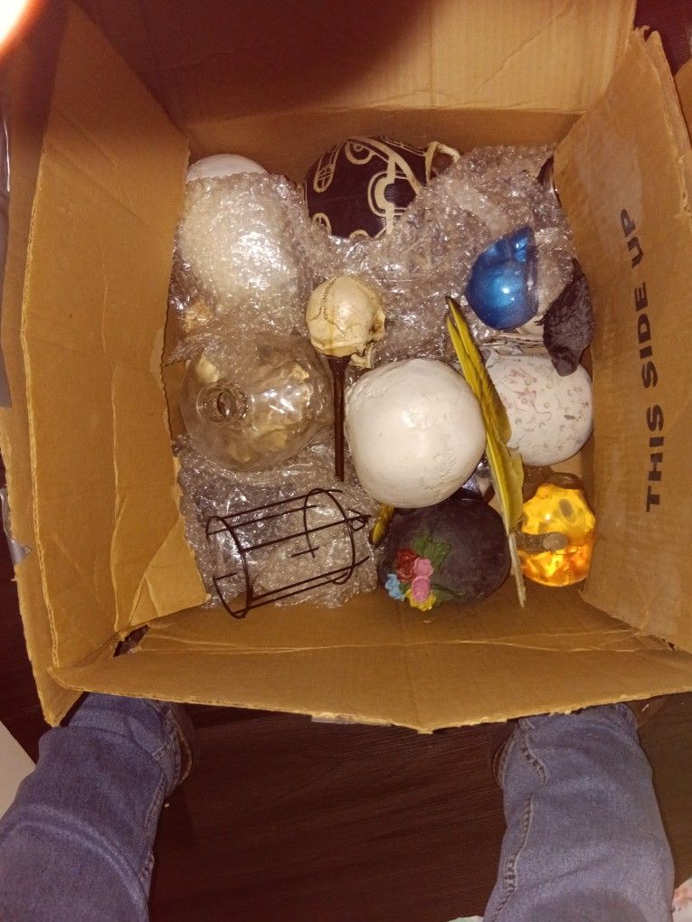 Skull Collection