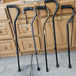 Cane / Walking Stick