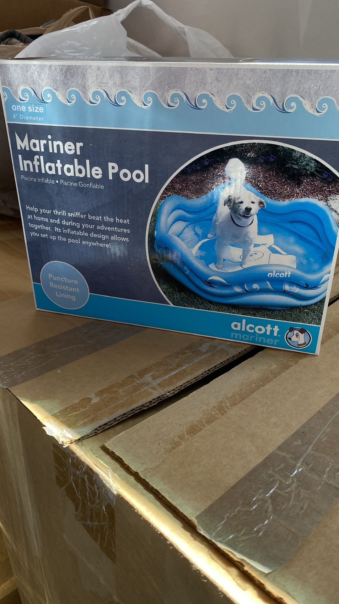 Brand New! Sturdy Pool 