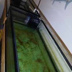 Saltwater Frag Tanks And Sump 150$