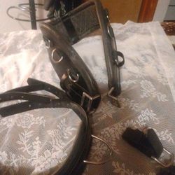 Horse Equipment Collar, Fly Veil And More