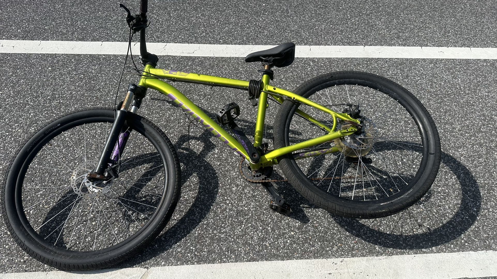 Specialized Rockhopper mountain Bike