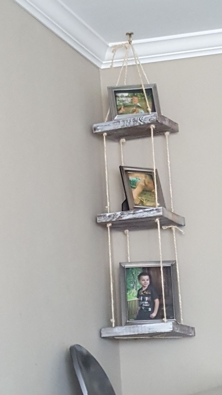 plant swing.or pictures display