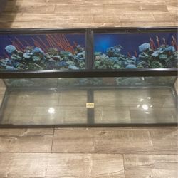 Glass Fish Tank 