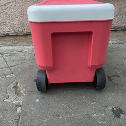 Igloo Cooler 