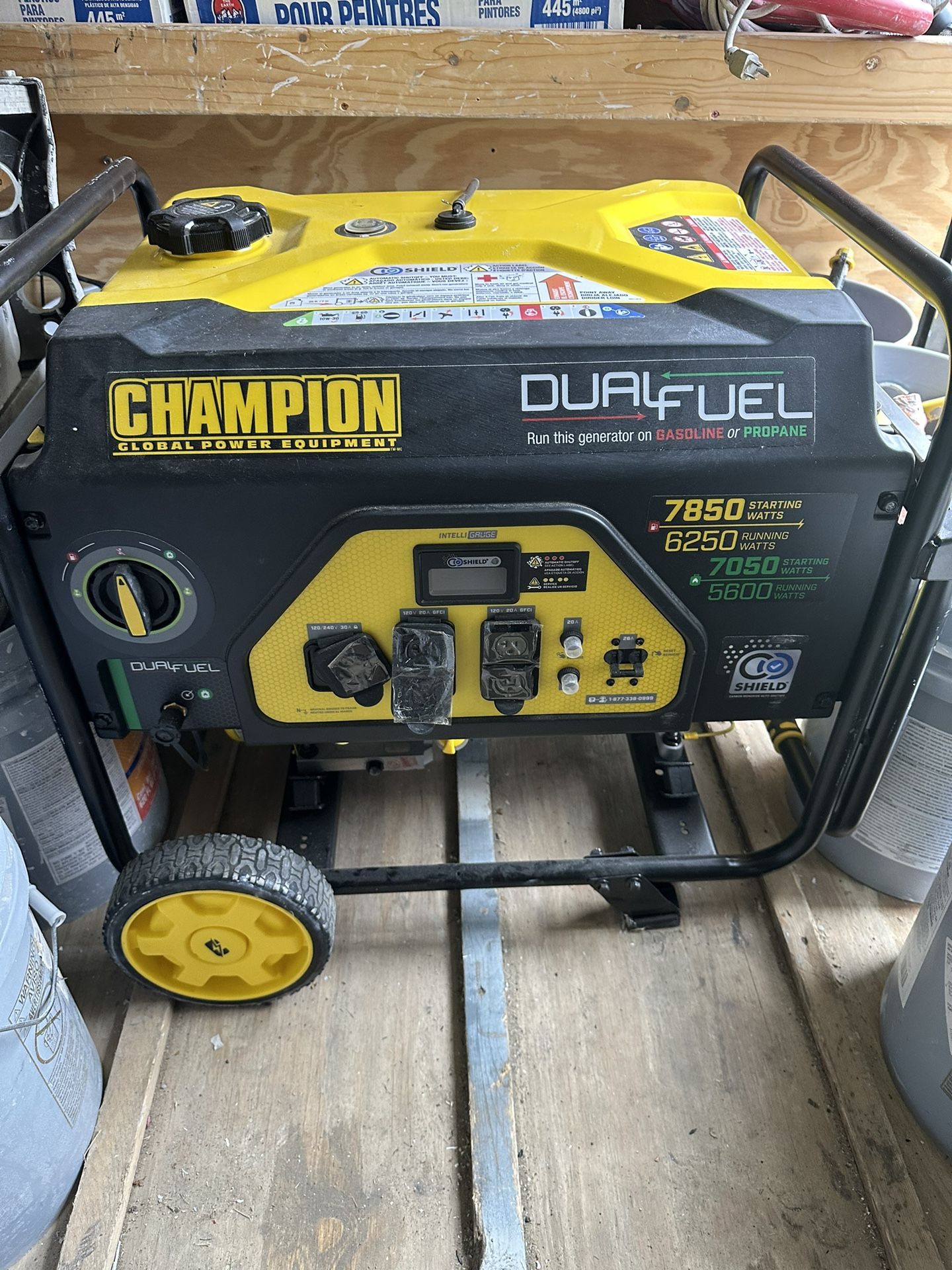 Champion Dual Fuel Generator 