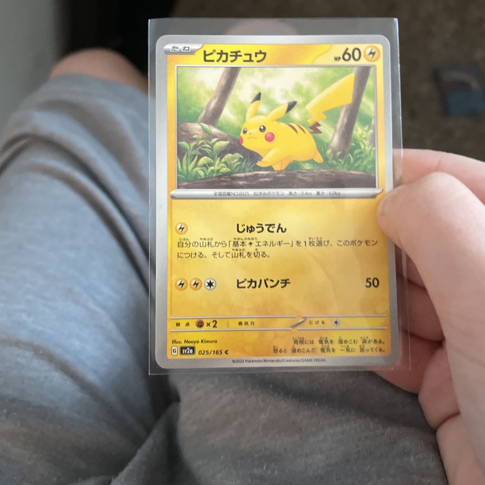 Jp Pikachu