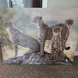 Cheetah canvas Painting Wall Art 