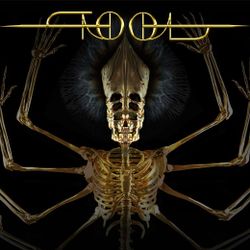 TOOL  FIRST ROW