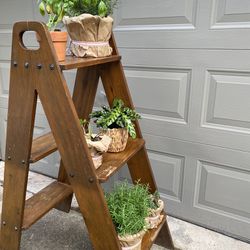 Wood Ladder Shelf 48” Tall • Plants / Towels / Books